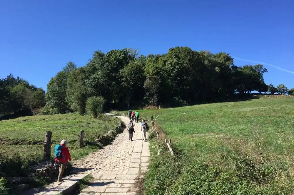 Camino de santiago